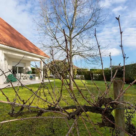 D'hotes A Bed and Breakfast Laroin